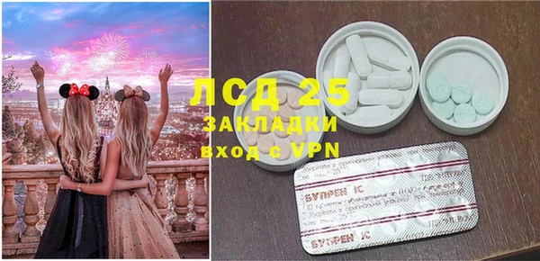 ГАЛЛЮЦИНОГЕННЫЕ ГРИБЫ Лиски