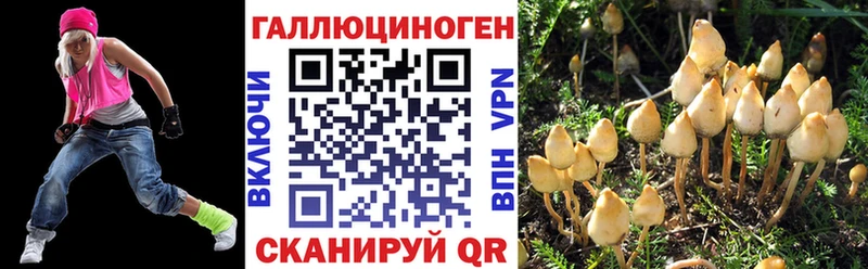 закладки  Димитровград  Галлюциногенные грибы мицелий 